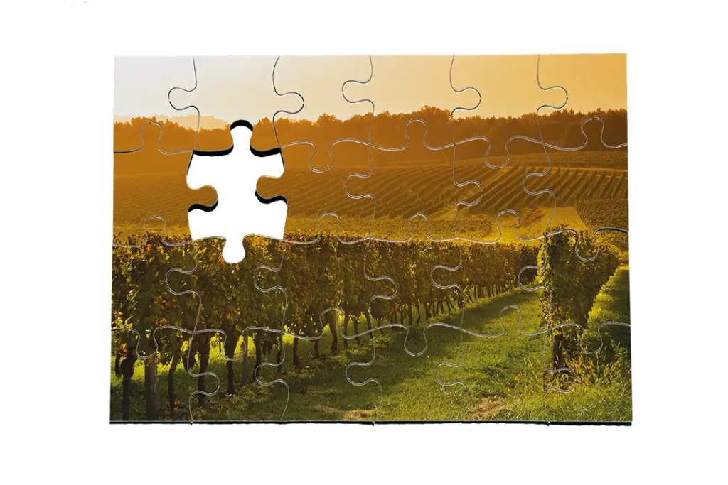 impression puzzle francerol